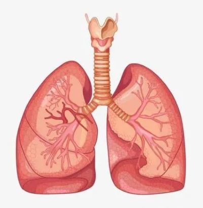 广州中医肿瘤专家张忠民:为什么肺癌肺部感染不少患者寻求中医治疗