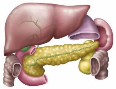 广州肿瘤老中医告诉你胰腺癌5个常见的病因