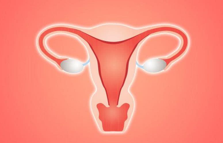 哪些人容易患上子宫内膜癌？这5类人要注意！