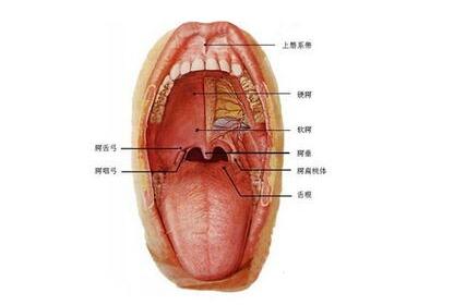舌癌的晚期症状有哪些？赶紧看一下