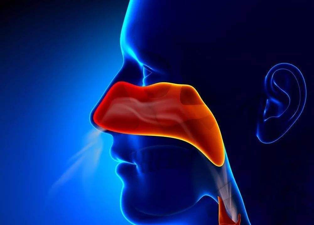 为什么鼻咽癌的初期无明显症状？看完你就知道了